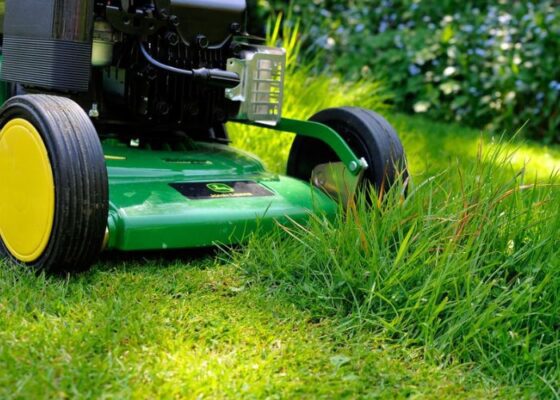 Expert Tips to Boost Lawn Quality Without Chemicals This Fall